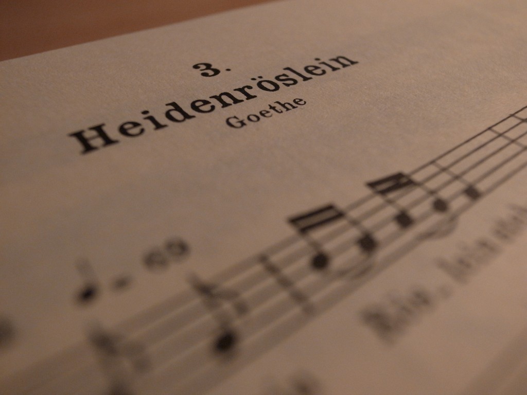 『野ばら』（Heidenröslein）楽譜